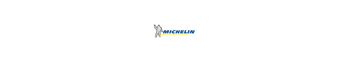 Neumáticos Michelin para Motos