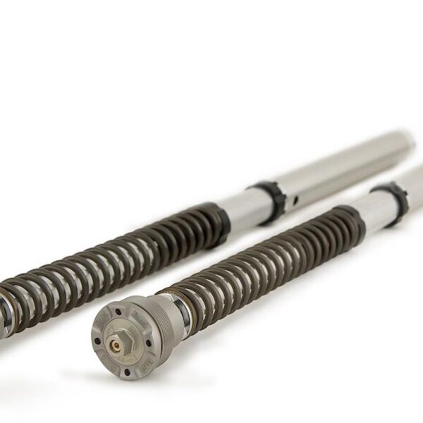 Kit de cartuchos de horquilla delantera Öhlins